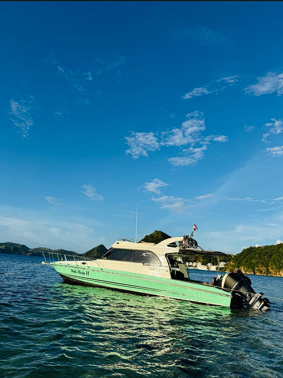 Sewa Bali Razio 11 - TITORENT